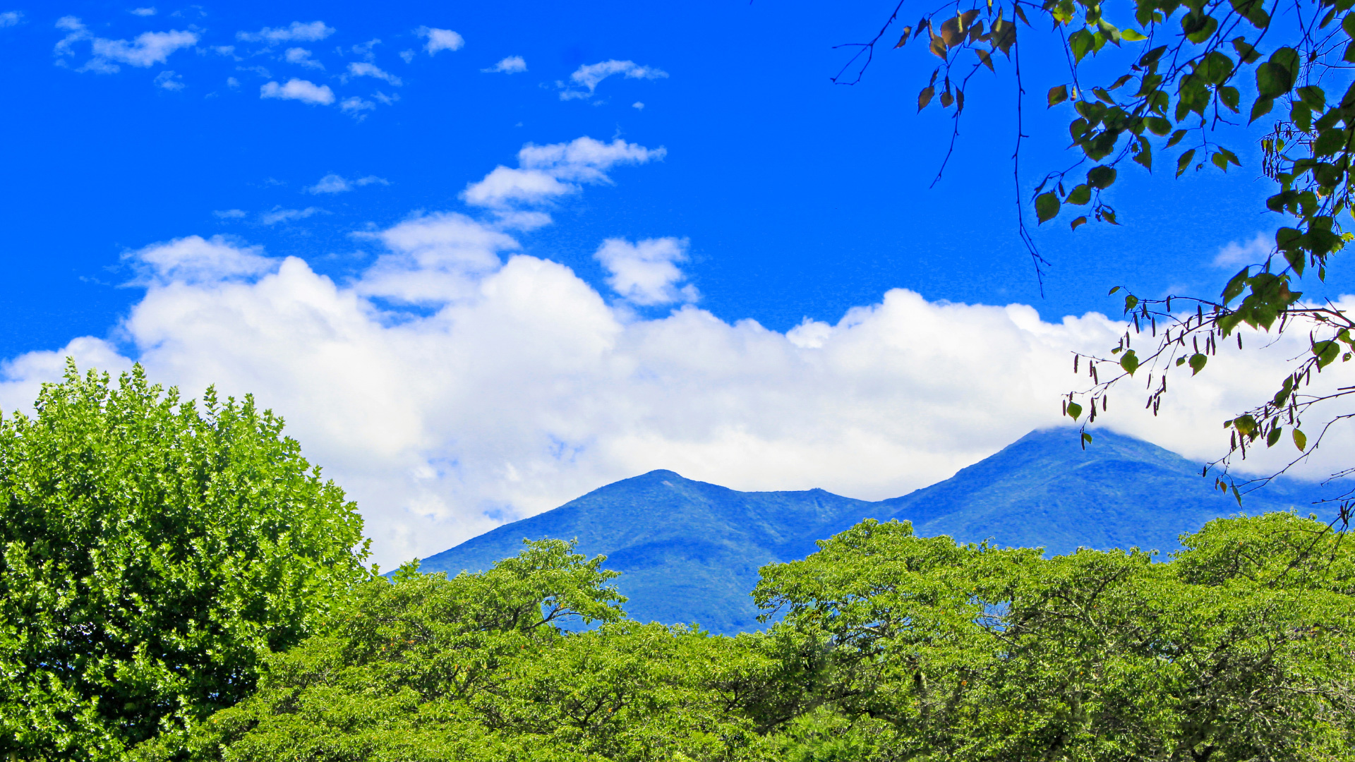 フューチャーヒル 茅野市